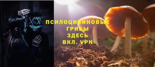 герыч Алексин