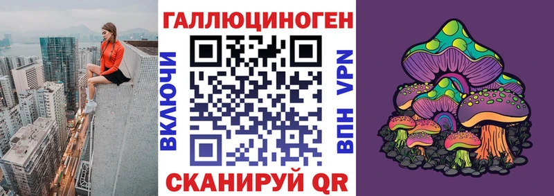 наркота  Гусь-Хрустальный  Галлюциногенные грибы Psilocybine cubensis 